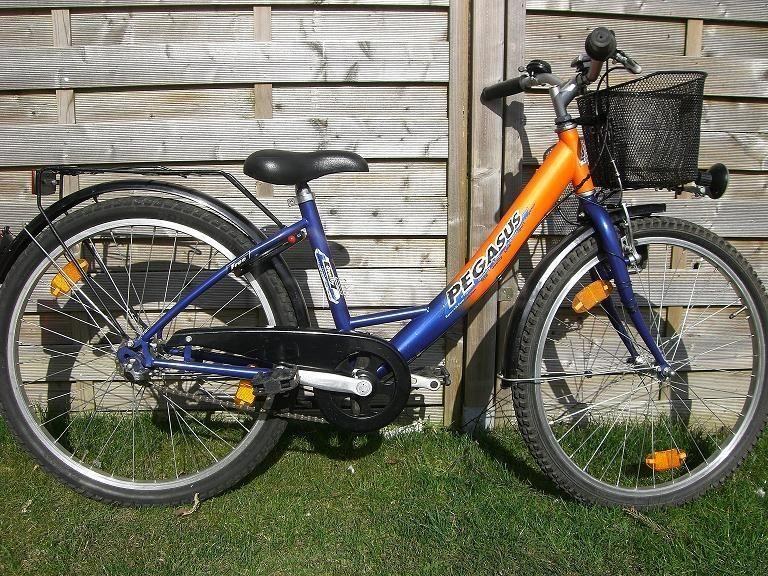 26 Zoll Pegasus Kinderfahrrad mieten in Krummhörn – 2