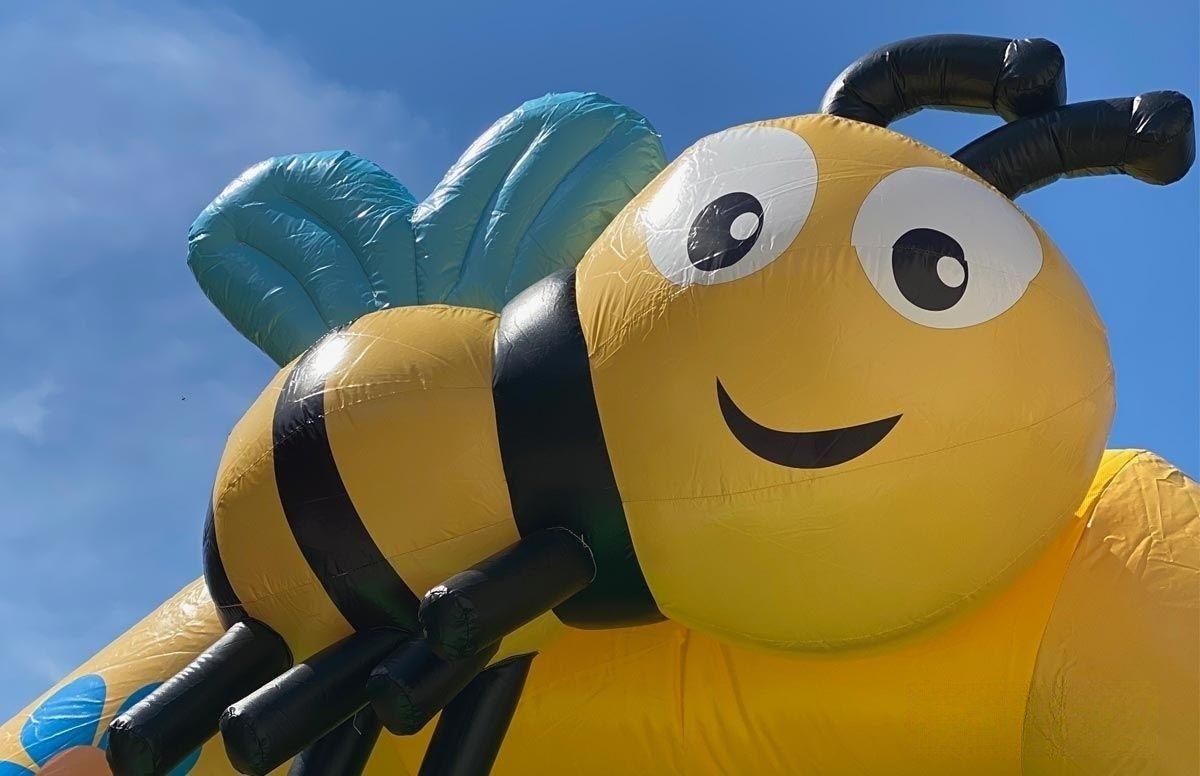 Hüpfburg Bienchen mieten in Glauchau – 2