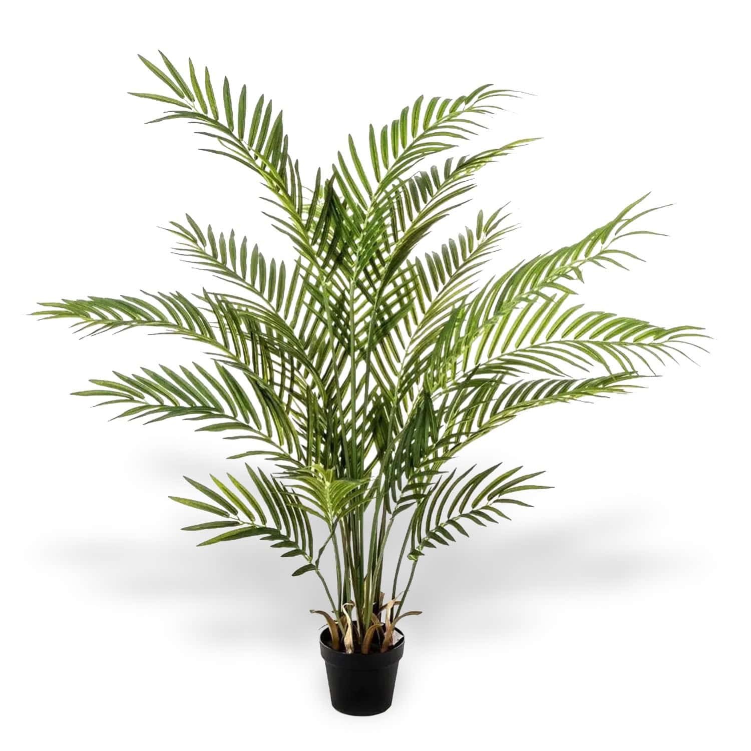 Topfpflanze Areca Palme künstlich mieten in Berlin – Mietartikel