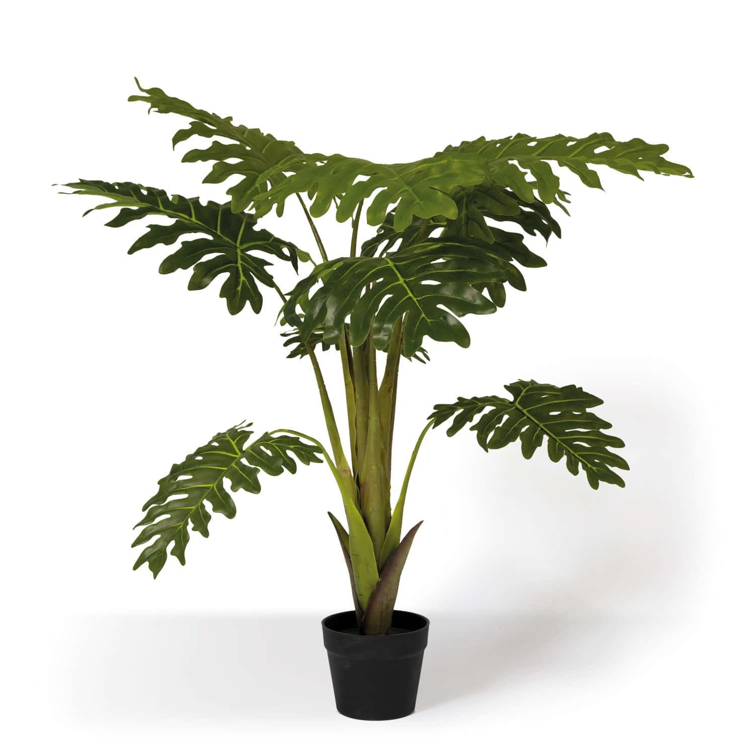 Topfpflanze Philodendron künstlich mieten in Berlin – Mietartikel