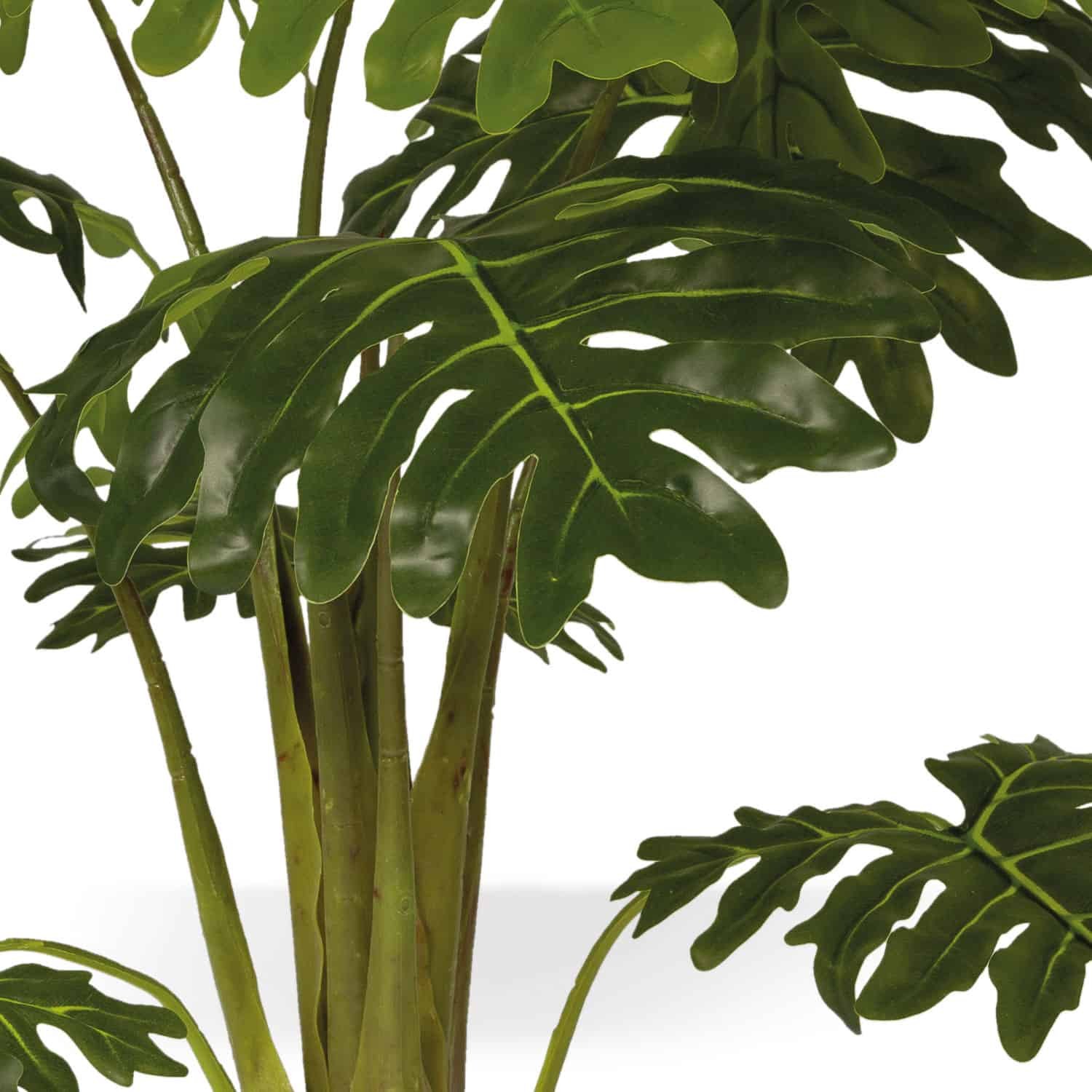 Topfpflanze Philodendron künstlich mieten in Berlin – Mietartikel – 2
