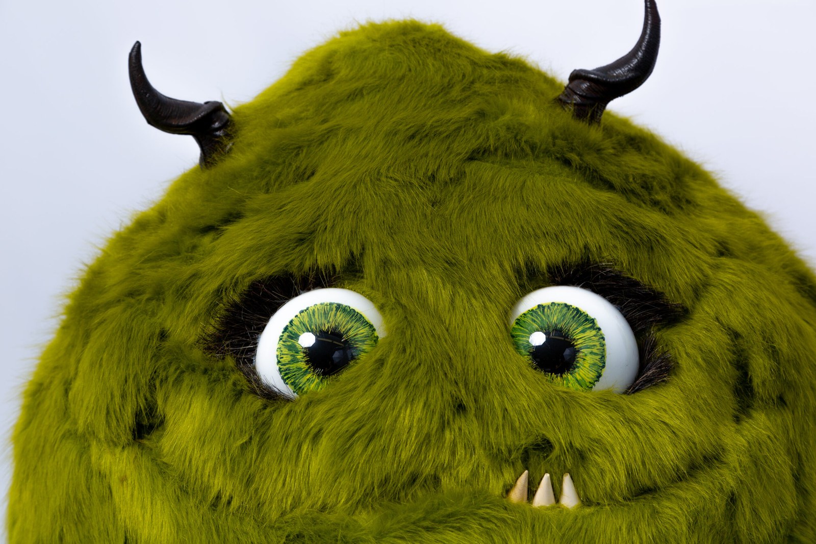 Monster "Crazy" grün mieten in Berlin bei unserem Team – 2