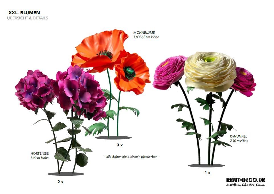 XXL-Flowers/ Gigant Blumen/ Hortensie/ Mohnblume/ Ranunkel/ Blüten aus mieten in Berlin