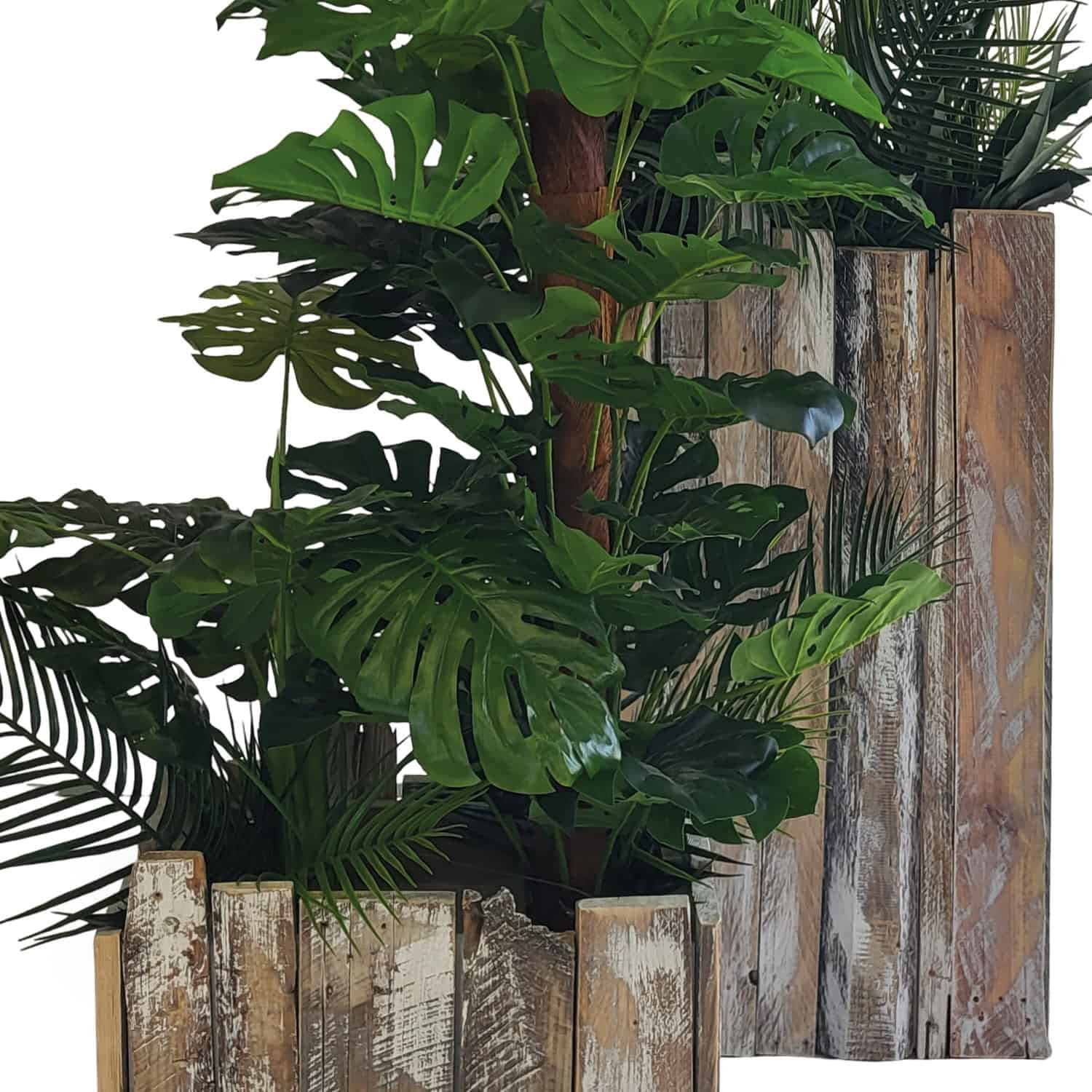 Summer Beach Deco Pflanze mieten in Berlin – Eventausstattung – 2