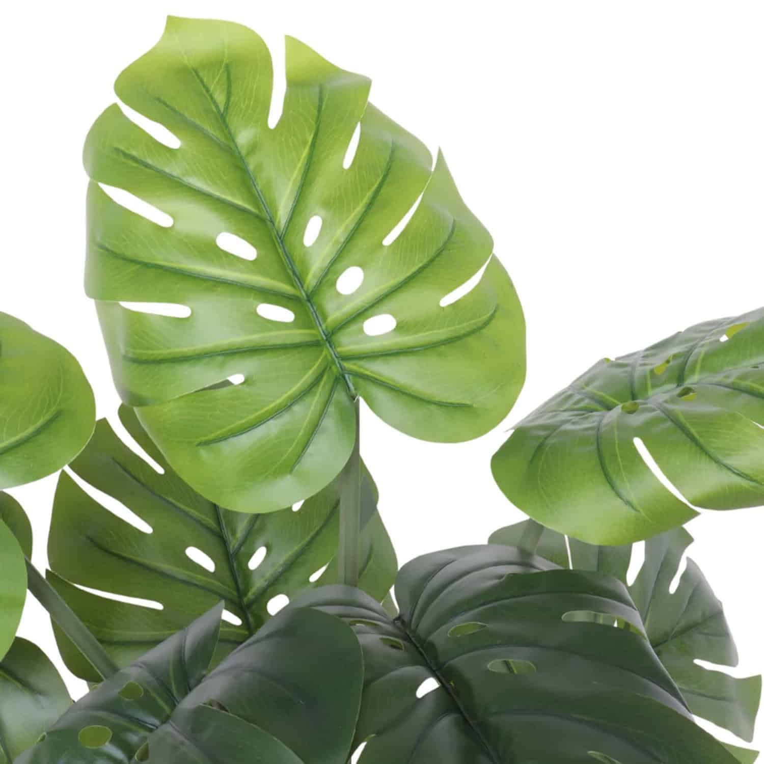 Topfpflanze Monstera künstlich mieten in Berlin – Mietartikel – 2