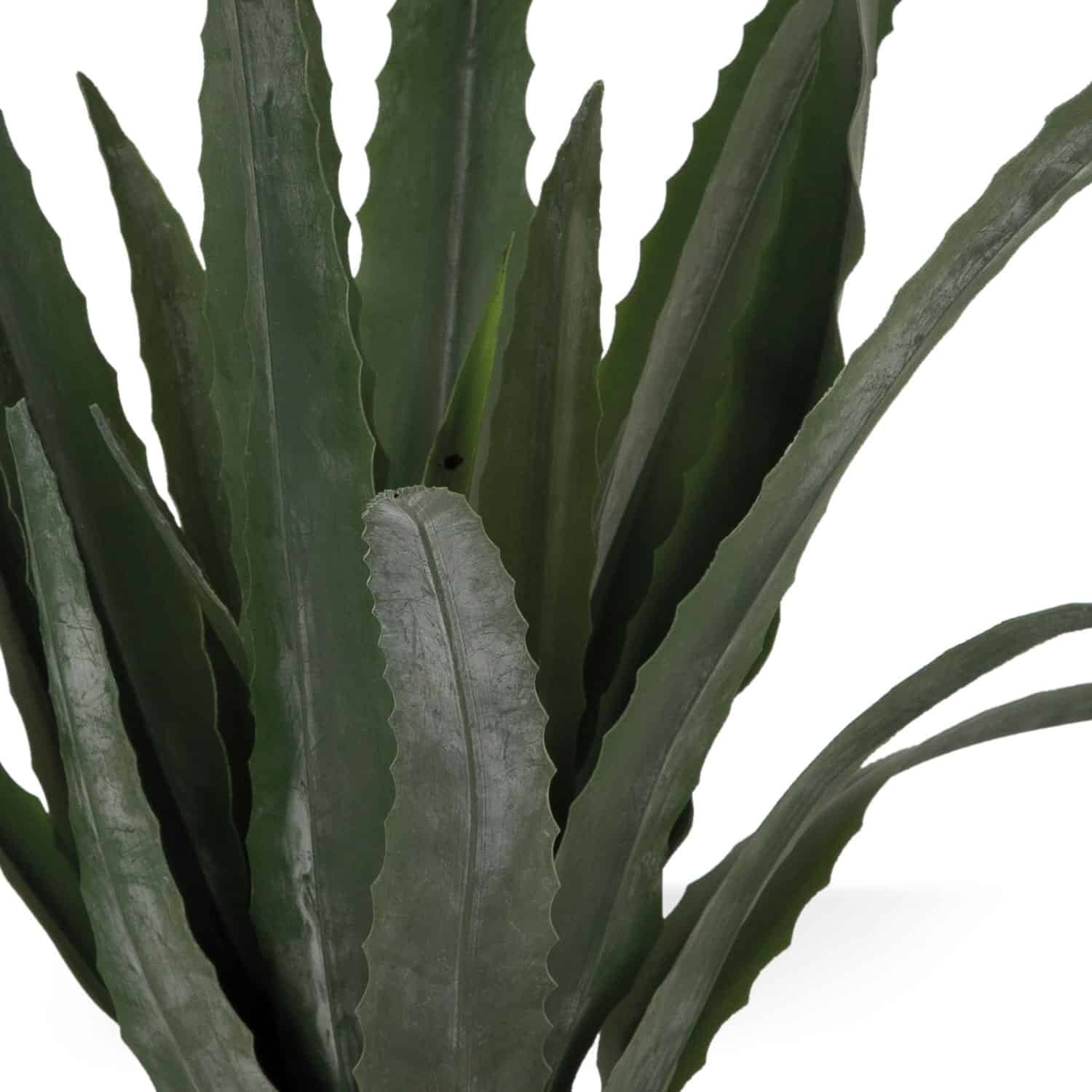 Topfpflanze Aloe Vera künstlich mieten in Berlin – Mietartikel – 2