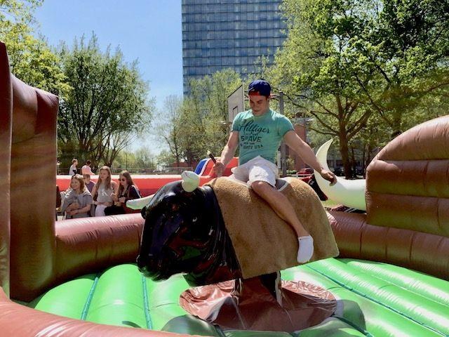 Bullenreiten, Bullriding, Rodeo inkl. 19% MwSt mieten in Hannover – 3