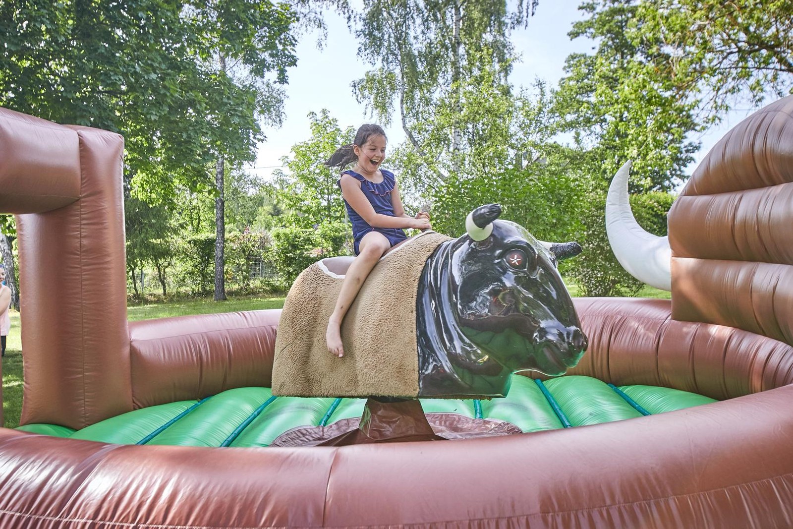 Bullenreiten, Bullriding, Rodeo inkl. 19% MwSt mieten in Hannover