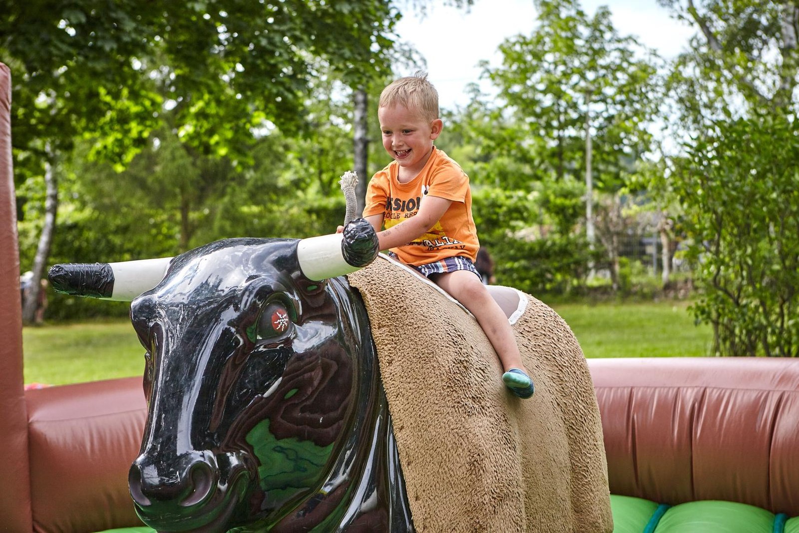 Bullenreiten, Bullriding, Rodeo inkl. 19% MwSt mieten in Hannover – 2