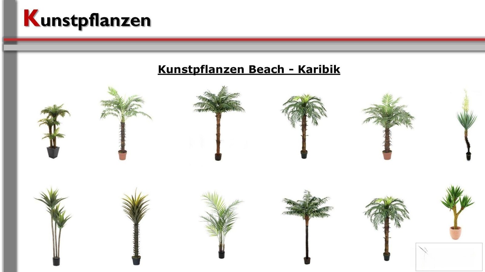 Pflanzen / Kunststoffpflanzen mieten in Heroldsberg