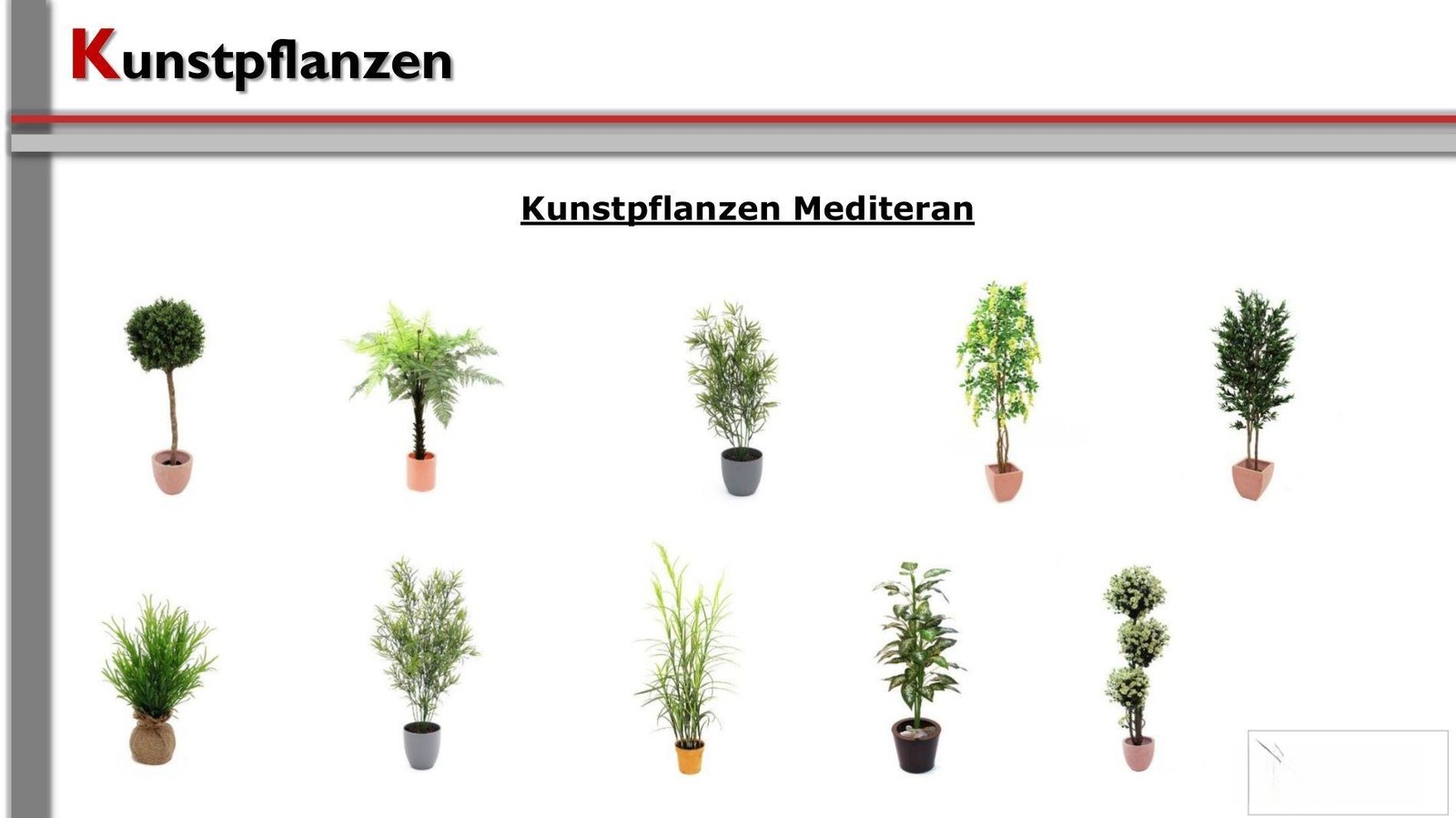 Pflanzen / Kunststoffpflanzen mieten in Heroldsberg – 2
