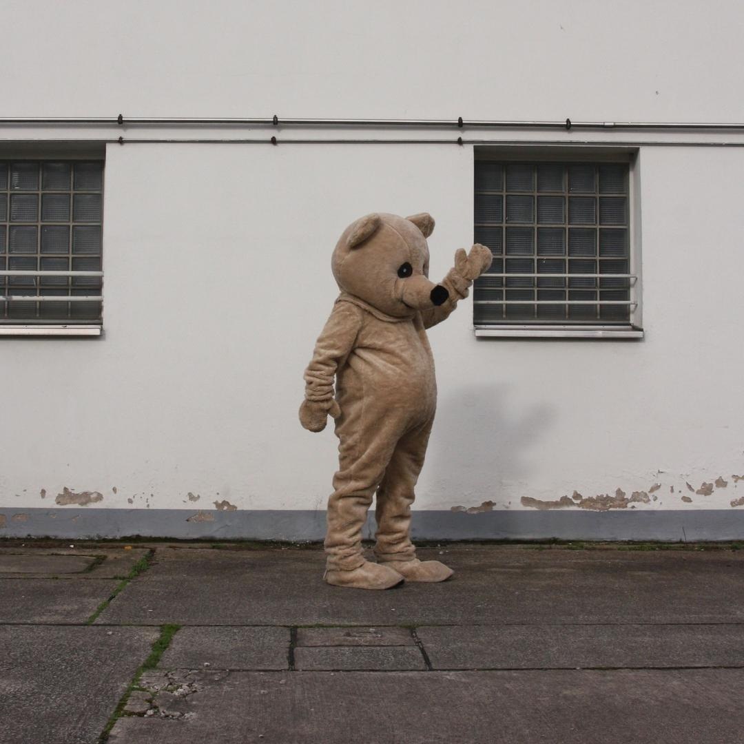 Walk Act Teddy / Bär / Kostüm buchen in Hannover