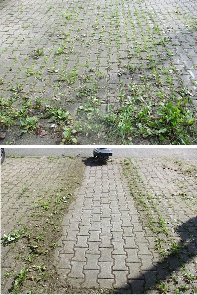 NEU: Wildkrautbürste Unkrautbürste Kwern Greenbuster Pro 66 mieten in Bordesholm