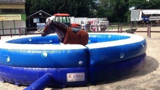 Horseriding / Pferdereiten mieten in Böblingen – Mietartikel