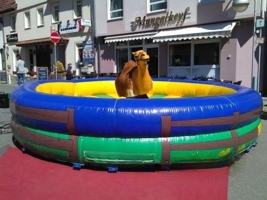 Dromedarrodeo mieten in Eibelstadt