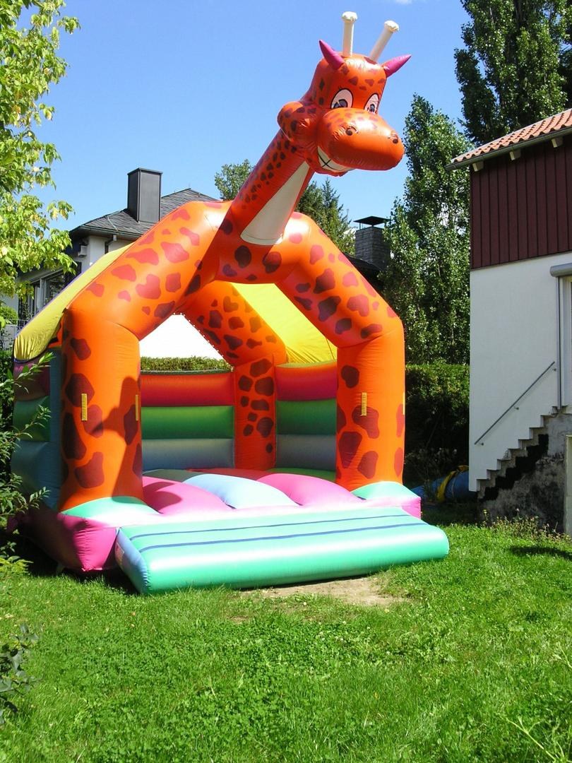 Hüpfburg Giraffe mieten in Eibelstadt