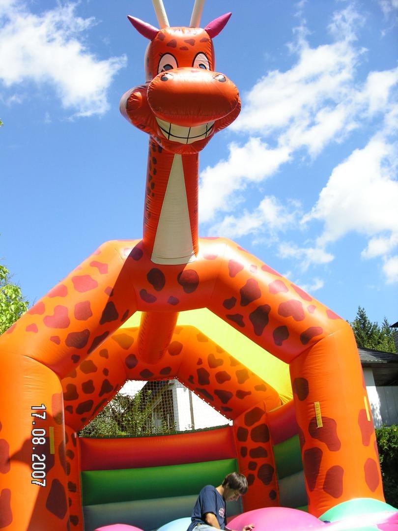 Hüpfburg Giraffe mieten in Eibelstadt – 2