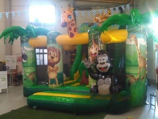 Dschungel Multiplay Hüpfburg mieten in Eibelstadt bei unserem Team