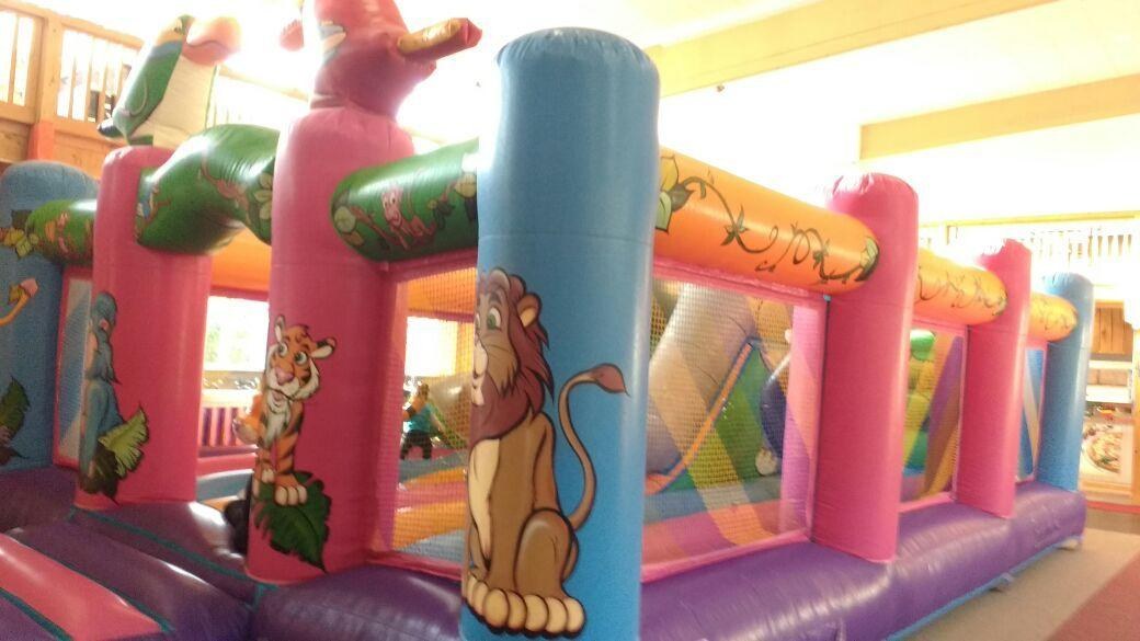Hüpfburg Safari mieten in Eibelstadt – 2