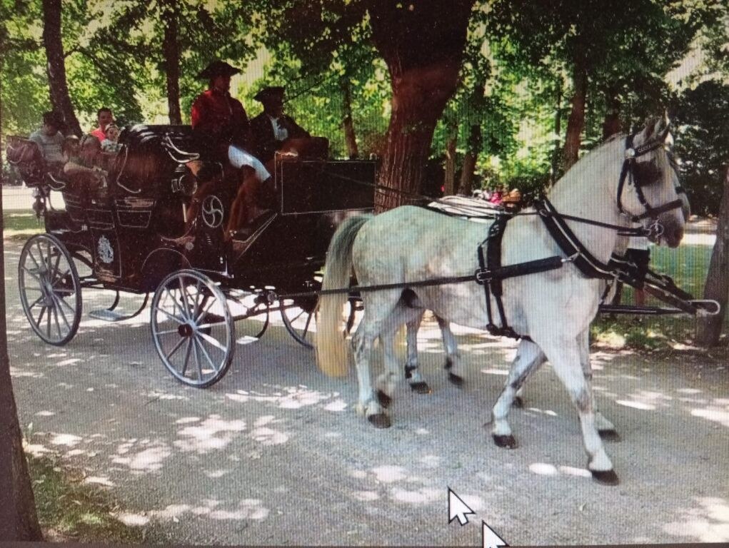 Hochzeitskutsche mieten in Nürnberg
