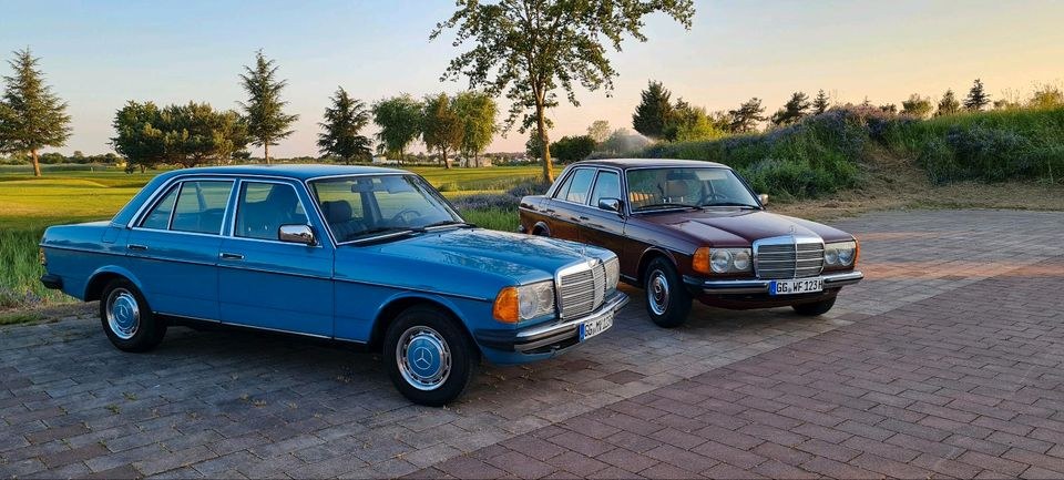 Mercedes W123 fahren Oldtimer Shooting Geschenk mieten in Büttelborn