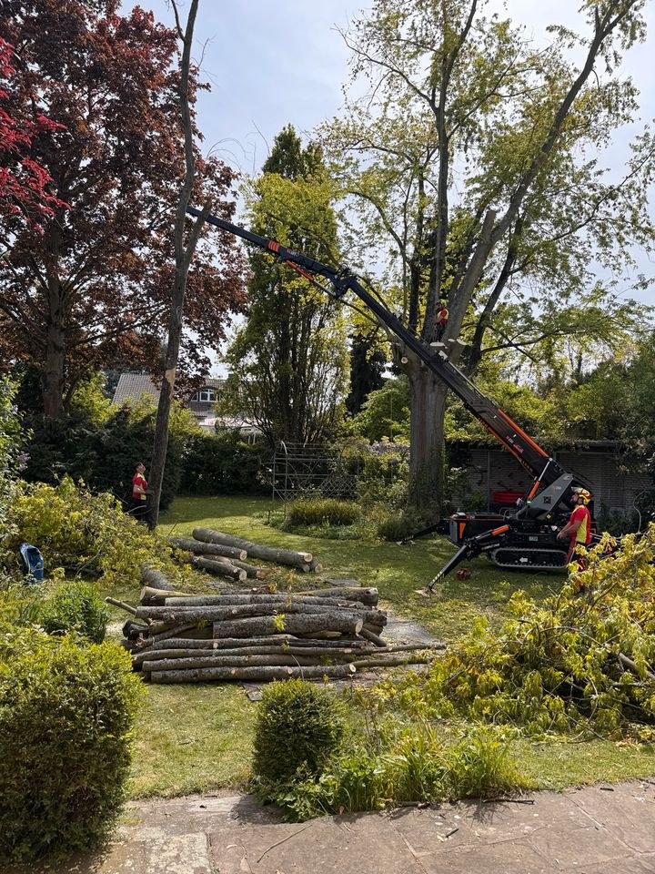 BG Lift M250 Minikran mieten in Groß-Umstadt – für schwere Lasten – 3