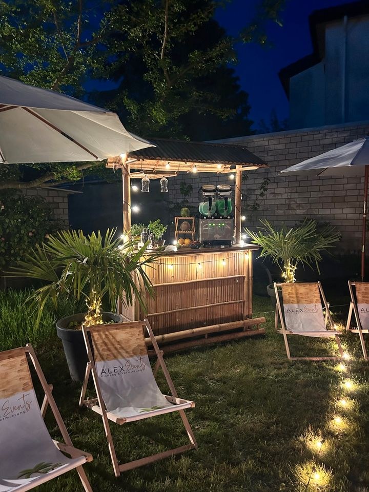 Palme ca 1,30m hoch N mieten bei Alex Events – das Besondere