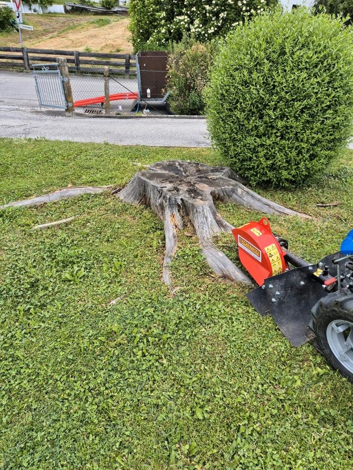 Bagger Minibagger Radlader mieten in Bad Griesbach im Rottal – 2