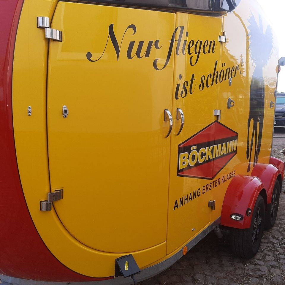 Pferdeanhänger Soleanhänger mieten bei junited Autoglas Torgau Alte – 3