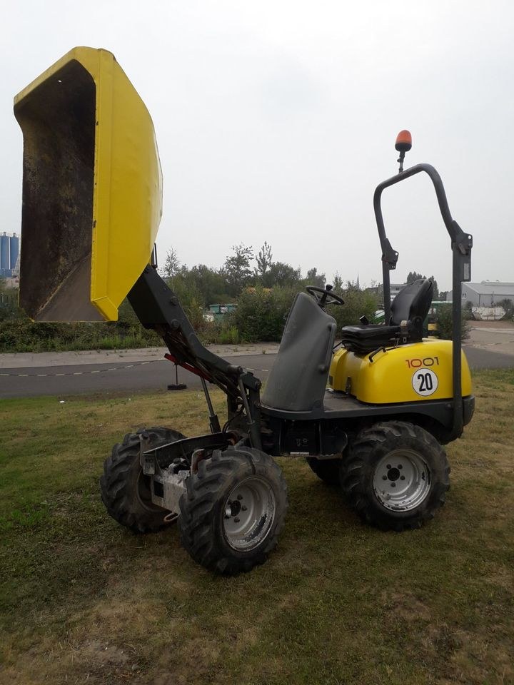 Minidumper Radlader Muldenkipper Wacker Neuson mieten in Dorstfeld