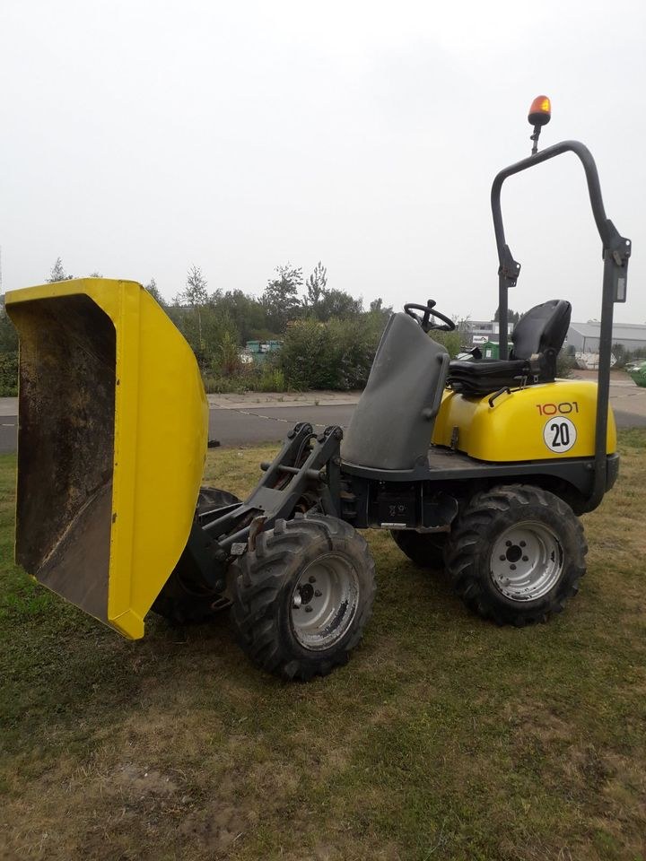 Minidumper Radlader Muldenkipper Wacker Neuson mieten in Dorstfeld – 2