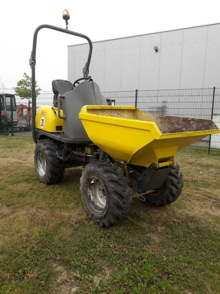 Minidumper Radlader Muldenkipper Wacker Neuson mieten in Dorstfeld – 4
