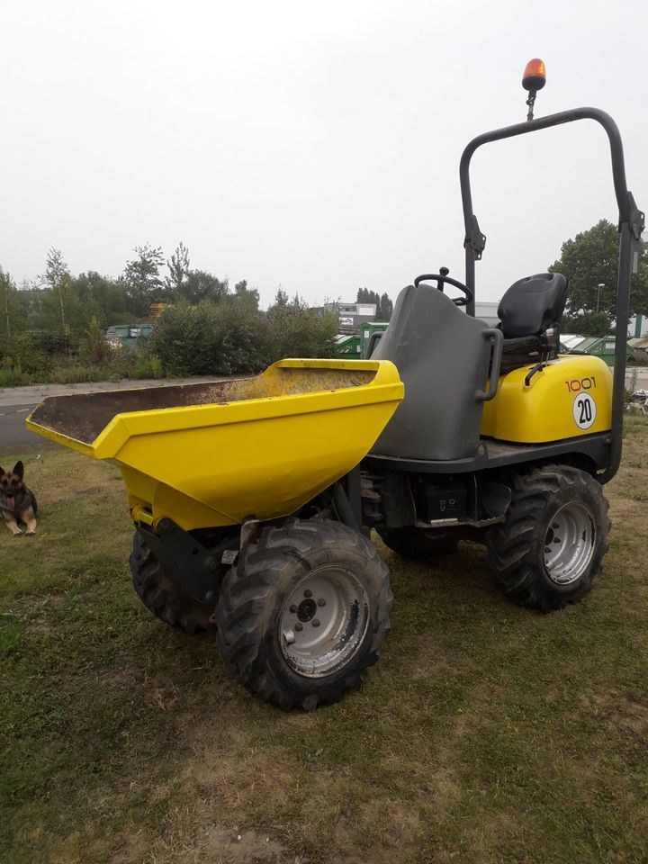 Minidumper Radlader Muldenkipper Wacker Neuson mieten in Dorstfeld – 3