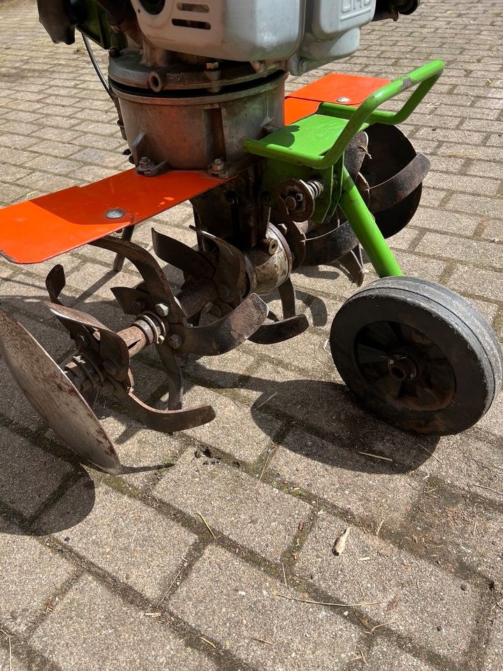Gartenfräse fräse Motorhacke Hacke umkehrfräse mieten bei BB-Rent – 2