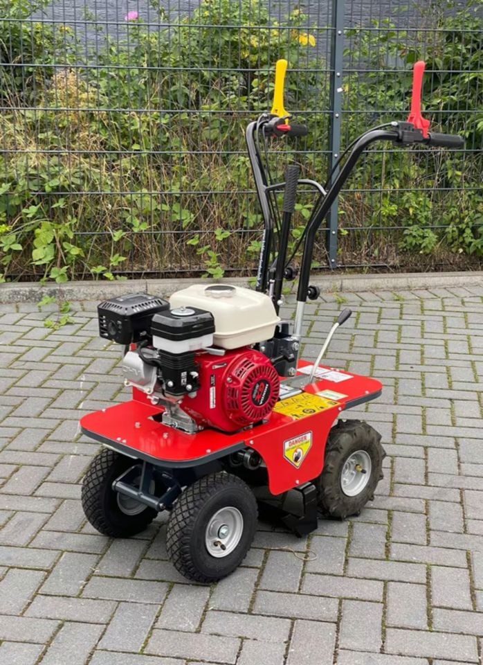 Rasenschälmaschine Honda GX160 Rasen entfernen mieten bei BB-Rent