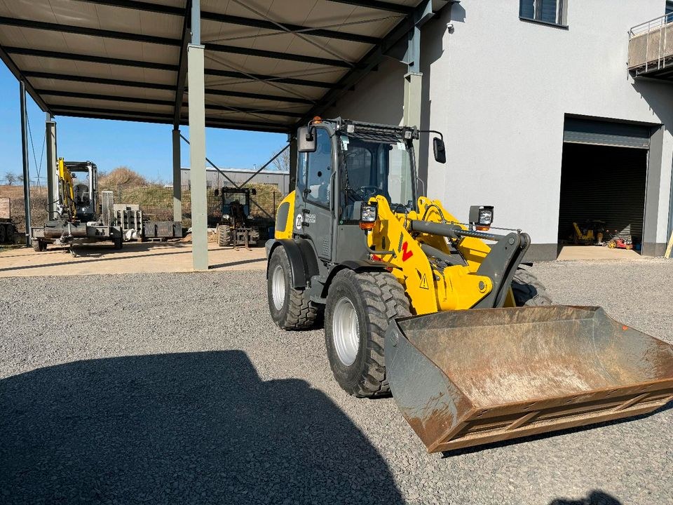 Wacker Neuson WL 44 Radlader Tag mieten bei BauMa³ – 2