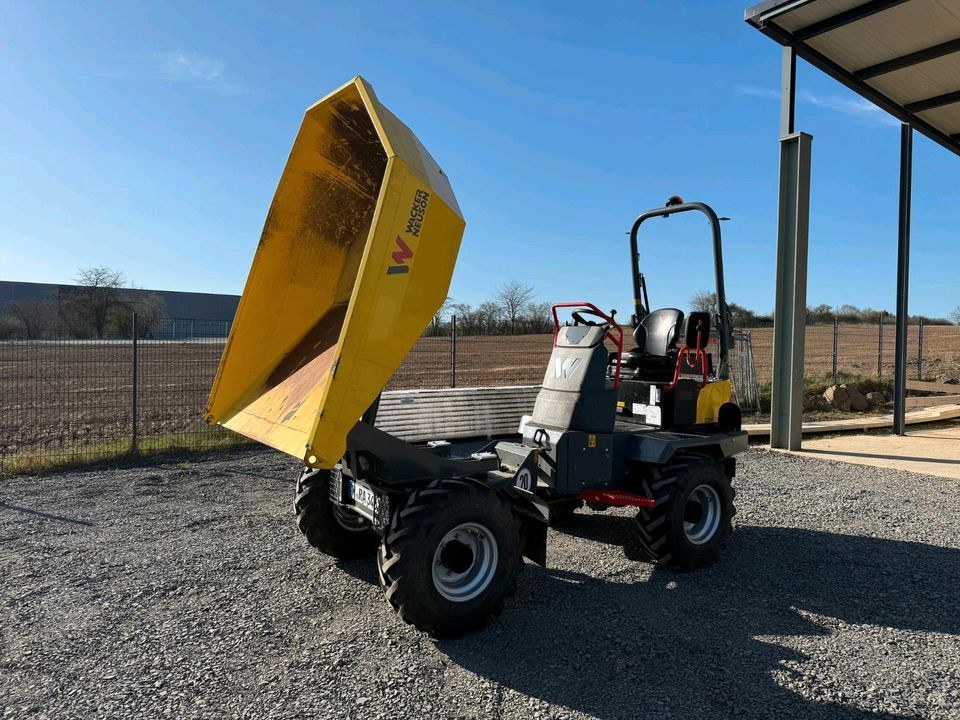 Wacker DW30 Raddumper 3Seiten Kippmulde Tag mieten bei BauMa³ – 3