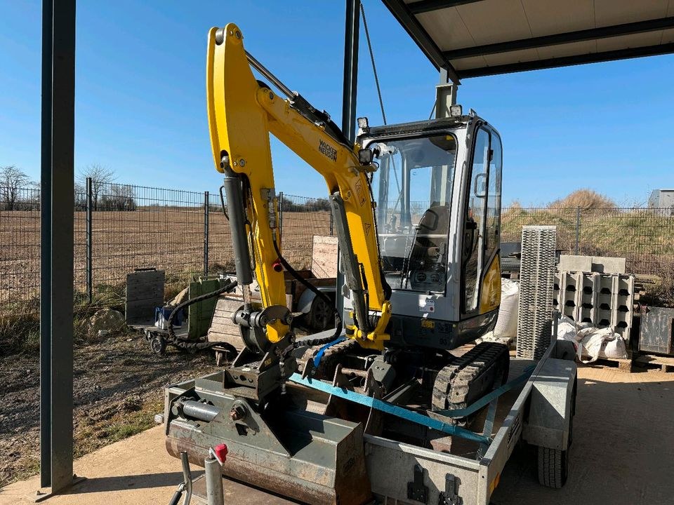 Wacker Neuson ET 18 Minibagger Tag mieten bei BauMa³ – 2