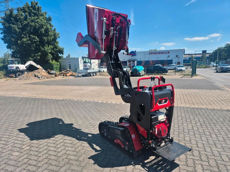 Dumper Schubkarre Kettendumper 900Kg mieten bei Friedrich - Ebert – 4