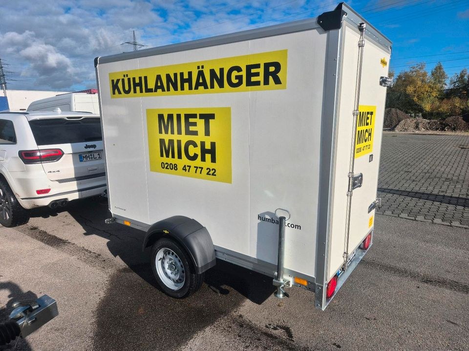 Kühlanhänger 1300Kg auch Klasse B mieten bei Friedrich - Ebert