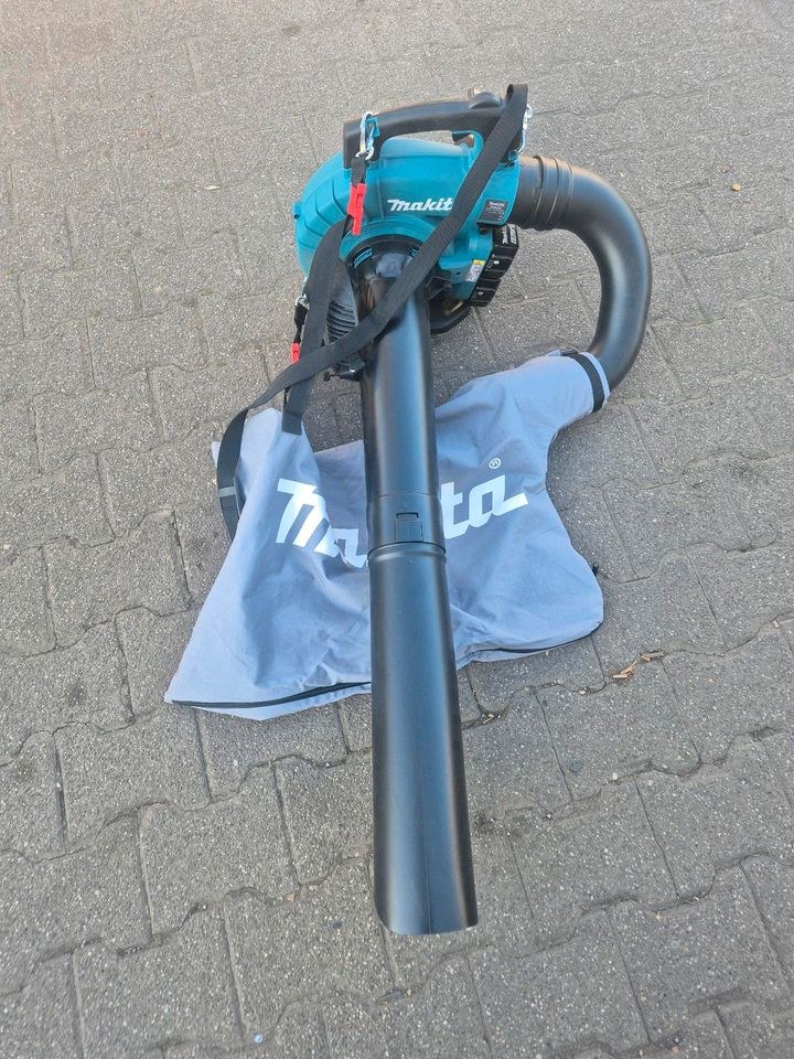 Laubsauger Bläser Makita Akku mieten bei Friedrich - Ebert
