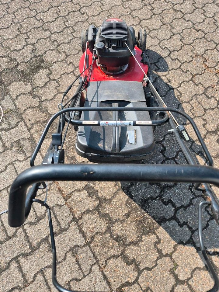 Rasenmäher 50cm Schnittbreite Honda mieten bei Friedrich - Ebert – 3