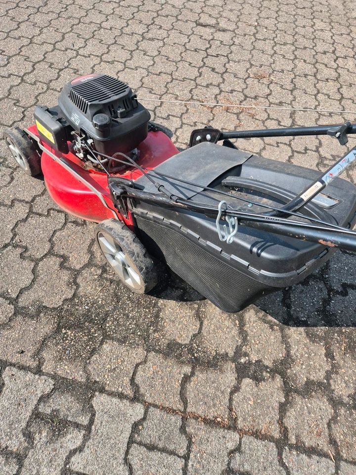 Rasenmäher 50cm Schnittbreite Honda mieten bei Friedrich - Ebert – 4