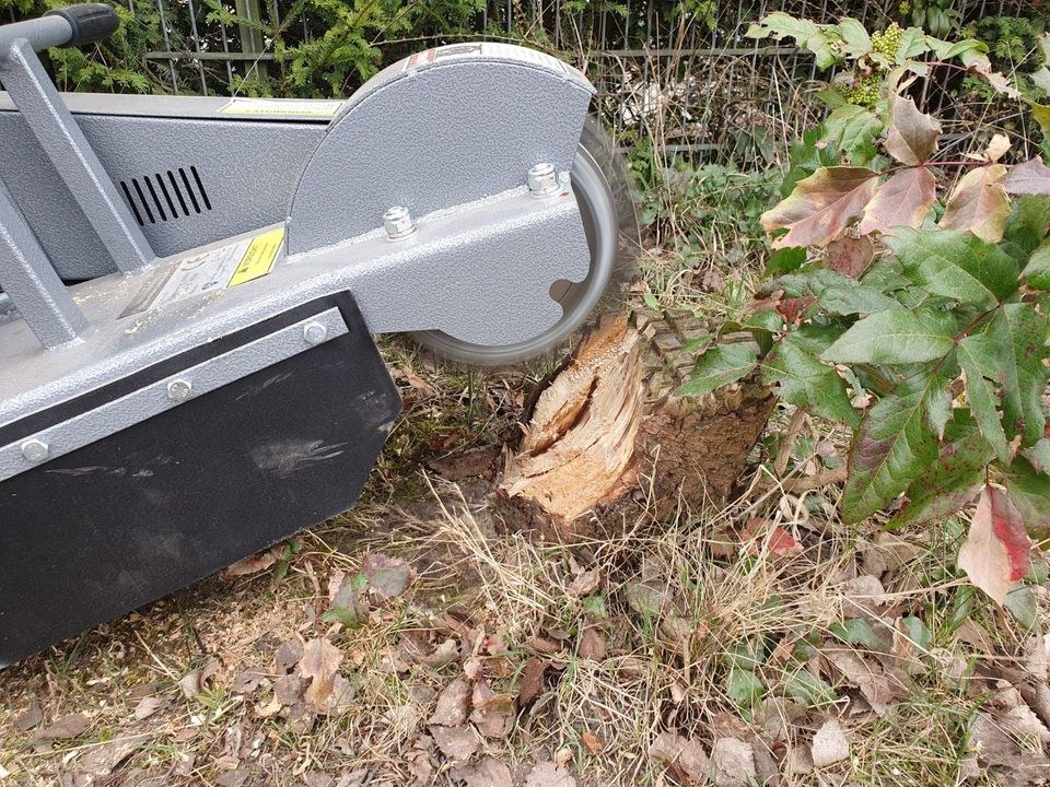 Stubbenfräse mieten in Bargteheide – für Garten & Grundstück – 3