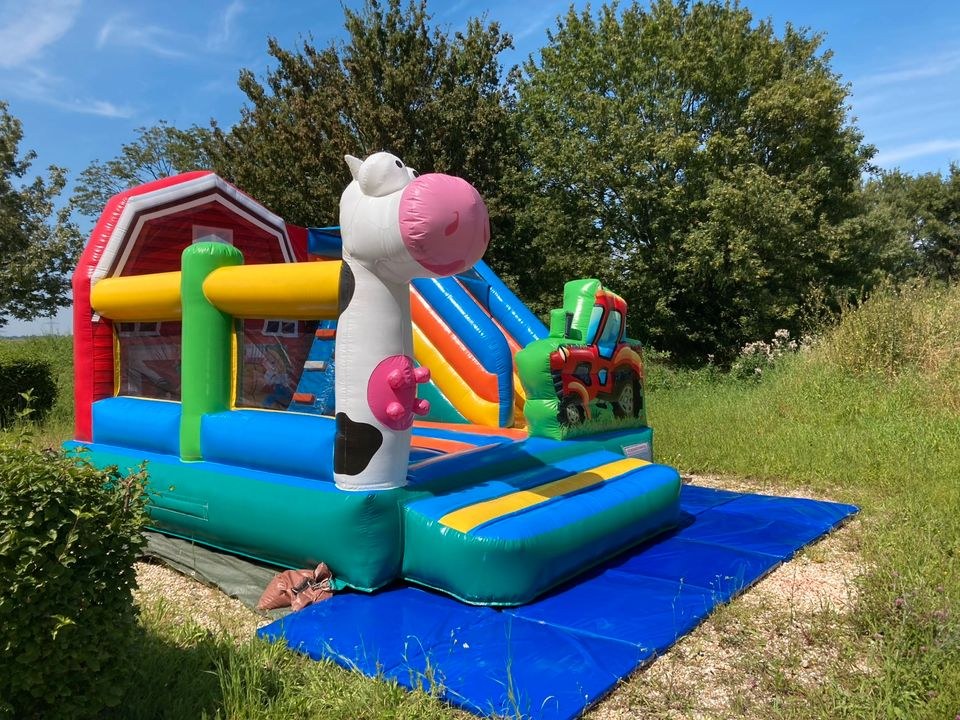Hüpfburg Bauernhof zum Kindergeburtstag mieten in Erding – 2