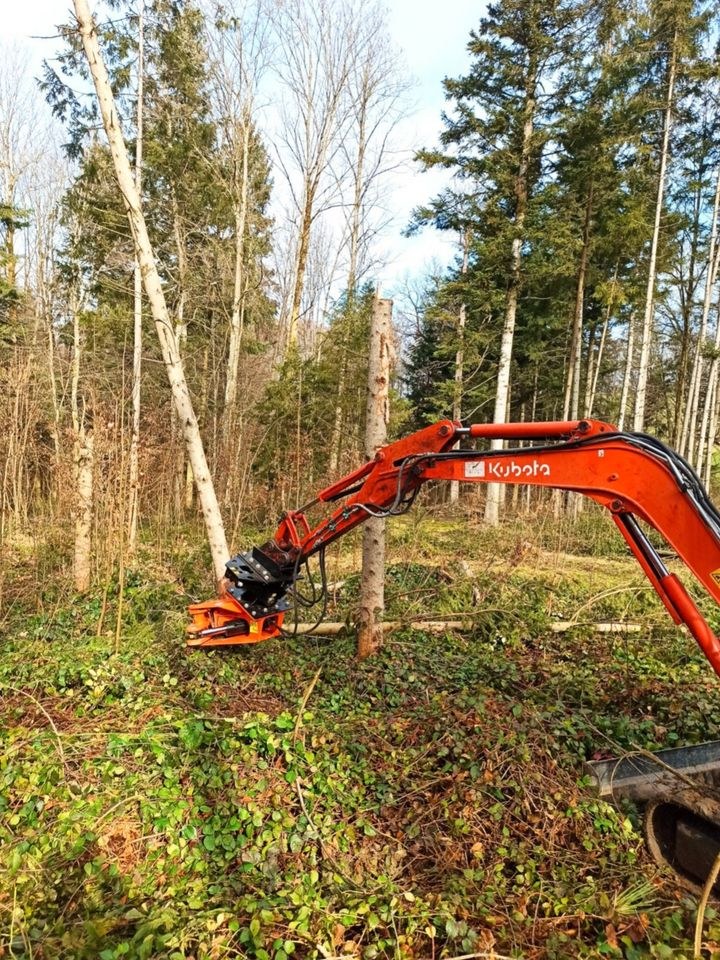 Woodcracker CL 190 Baumschere Fällgreifer 360° mieten in Thyrnau – 3