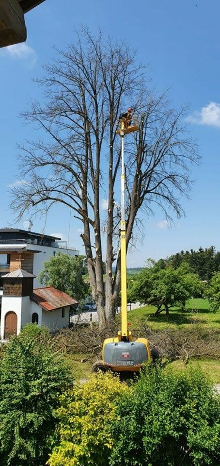 Teleskoparbeitsbühne 22m Hebebühne Haulotte mieten in Thyrnau – 3