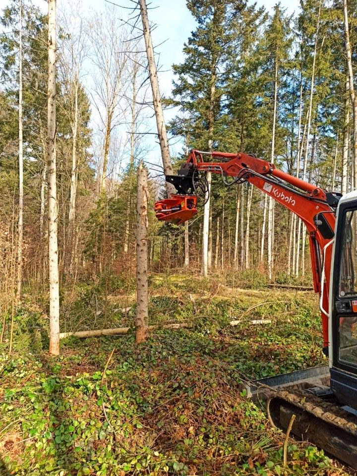 Woodcracker CL 190 Baumschere Fällgreifer 360° mieten in Thyrnau