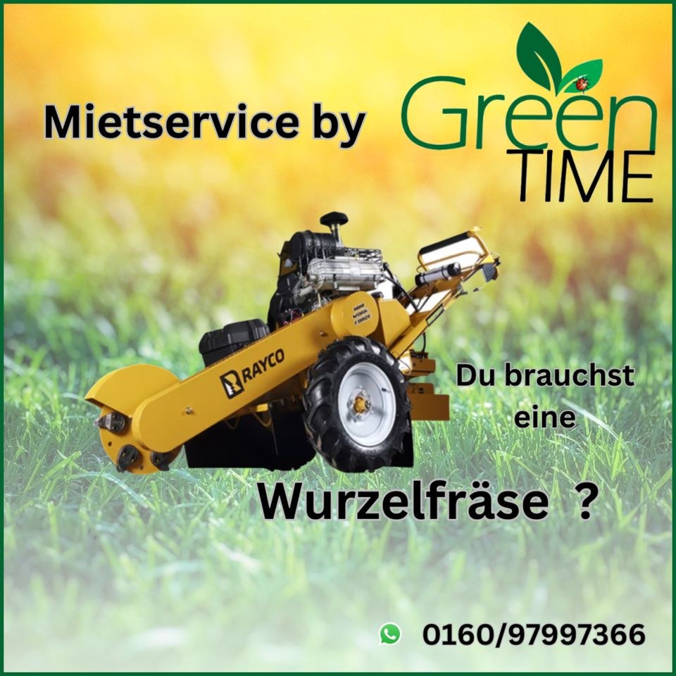 Baumstumpffräse Wurzelfräse Stubbenfräse (Rayco mieten in Wyhl
