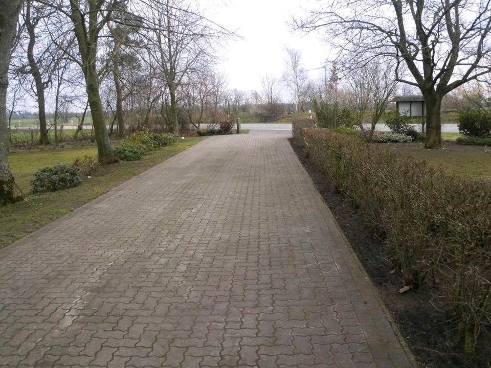 Wildkrautbürste Unkrautbeseitigung ohne Chemie mieten in Ladelund – 4